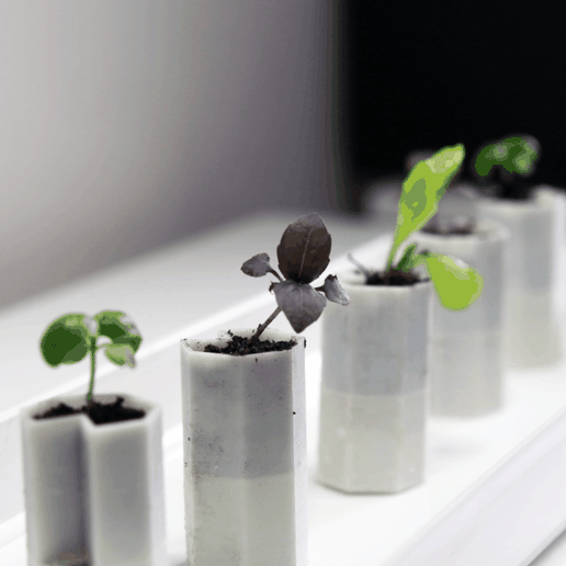 Capture d’écran 2018-03-30 à 12.12.09.png Tiny self-watering planter